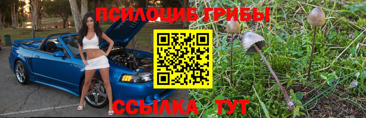 Галлюциногенные грибы Psilocybine cubensis Дзержинский