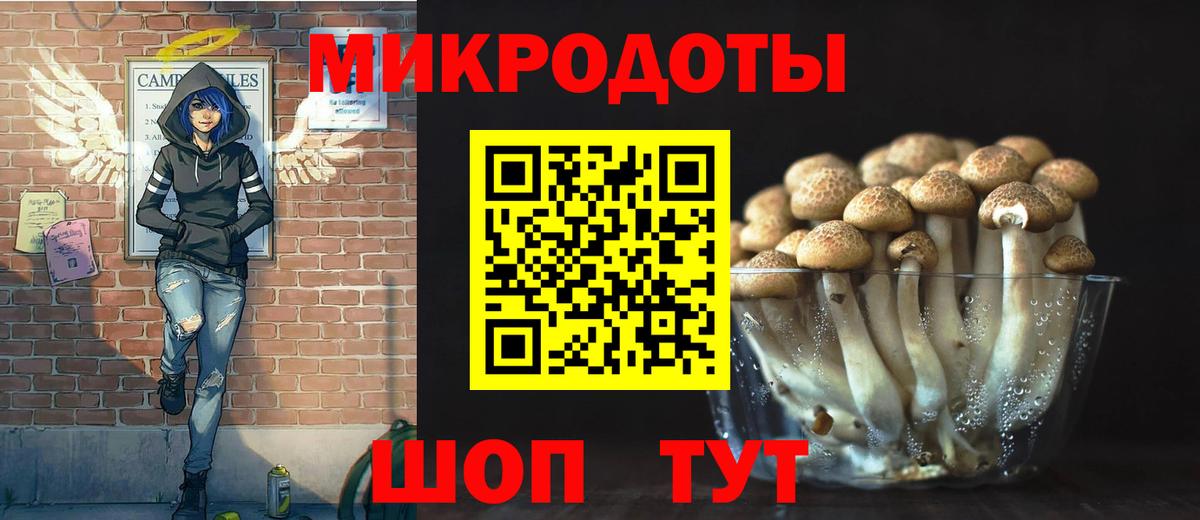 Галлюциногенные грибы GOLDEN TEACHER  Вход с VPN  Галлюциногенные грибы MAGIC MUSHROOMS  Дзержинский 